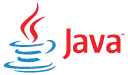 java web development company